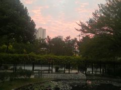 -深圳国际园林花卉博览园