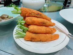 -丁老爷子苏香圆