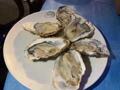 -千岛蚝高压锅生蚝·人参火锅(白云万达店)