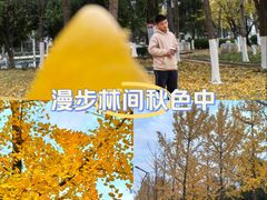 -武汉市民之家