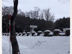 -北海道神宫