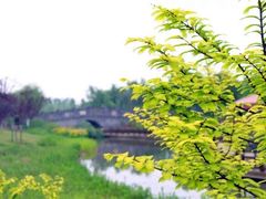 -嬉乐湾休闲旅游区