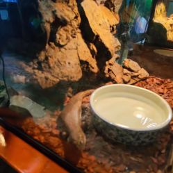 -酷嗒动物文化乐园(cutezoo西溪乐天城店)