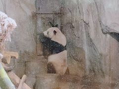 -深圳野生动物园