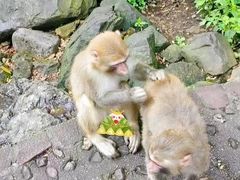 -业华湘·特色菜