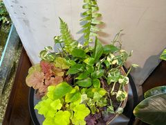 -山食间·中式营养轻餐(保利时光里店)