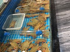 -隐厨·海鲜餐厅(恒通路店)