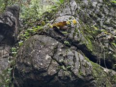 -陶祖圣境风景区