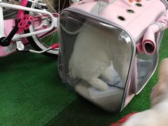 -东平国家森林公园