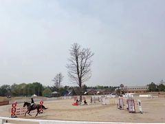 -上林马术中央公园·户外露营·团建·骑乘
