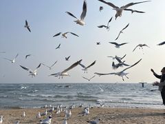-老虎石海上公园