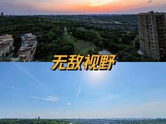 -成都保利公园皇冠假日酒店(熊猫基地店)