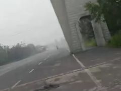 -神农山景区