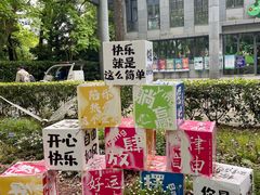 -上海共青森林公园