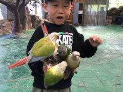 -西霞口神雕山野生动物世界