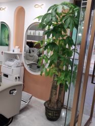 -希梵尔头皮抗衰·科技养发