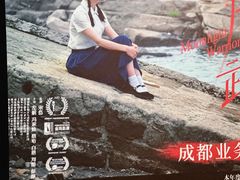 -万达影城(锦华万达广场IMAX店)