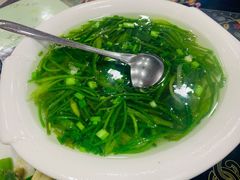 水性杨花汤-泸沽肴(泸沽湖大洛水村农村信用社旁店)