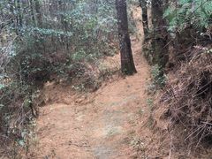 -苍山感通索道