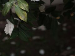 -厦门良筑精品酒店(厦门中山路店)