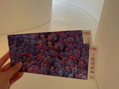 -罗红摄影艺术馆