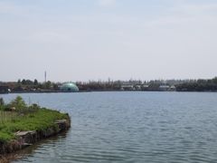 -上海都市菜园