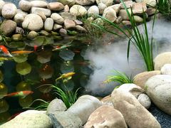 -南枝小馆(银鱼巷店)