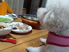 -张鸟园农家乐(张鸟园店)