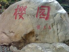 android_upload_pic-武汉大学-樱园