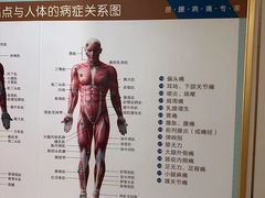 -通透堂中医·精准推拿(旗舰店)