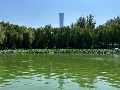 -团结湖公园