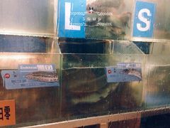 水产区-鱼酷活鱼烤鱼(沈阳大悦城店)