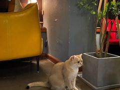 -咖法森林·咖啡  酒吧(天河店)