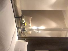 -上海柏悦酒店