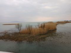 -苏州香山国际大酒店