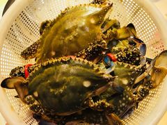 -船梆煮•蒸汽海鲜·炉火烤肉(五四广场店)