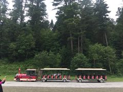 -五营红松林海景区