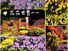 -广州文化公园