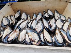 -加餐海鲜自助(宝龙一城店)