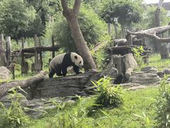 -武汉动物园