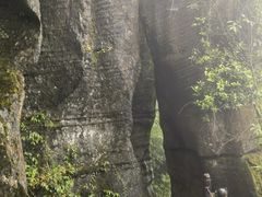 -梦幻奥陶纪景区
