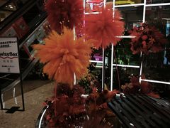 -红星美凯龙北京至尊MALL(东四环中路店)