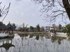 -青龙山国家森林公园