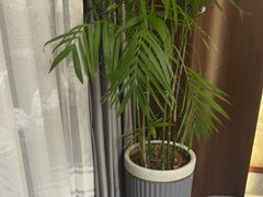 -俏东方·海味水饺·青岛菜(崂山店)