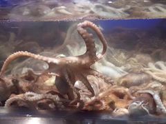 -V-ONE西雅图海鲜自助餐厅(仓山万达广场店)