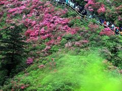 -木兰云雾山