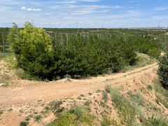 -鄂尔多斯野生动物园