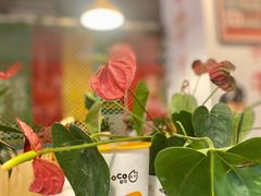 -CoCo都可(高新新力店)