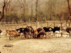 -西安秦岭野生动物园