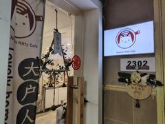-楼上猫咖(罗湖店)